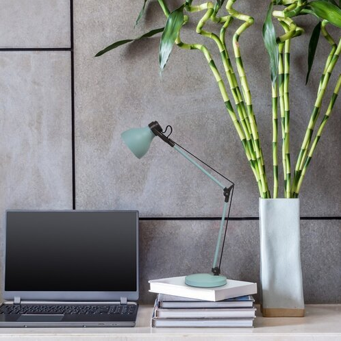 Fleksibilne lampe za čitanje idealan su izbor za one koji žele prilagoditi smjer svjetla prema vlastitim potrebama.