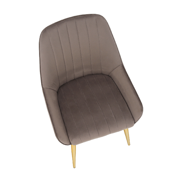 Blagovaonska stolica Soddy (sivo smeđa + zlatna) *rasprodaja