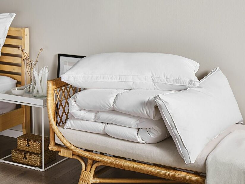 Set 2 jastuka 50 x 60 cm Kharta (bijela)