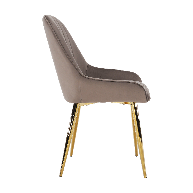 Blagovaonska stolica Soddy (sivo-smeđa + zlatna)