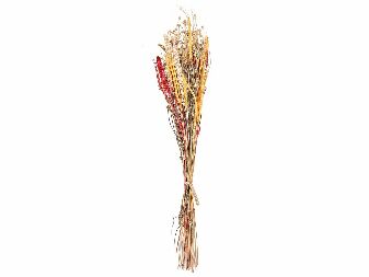 Buket suhog cvijeća Pamza (crvena)