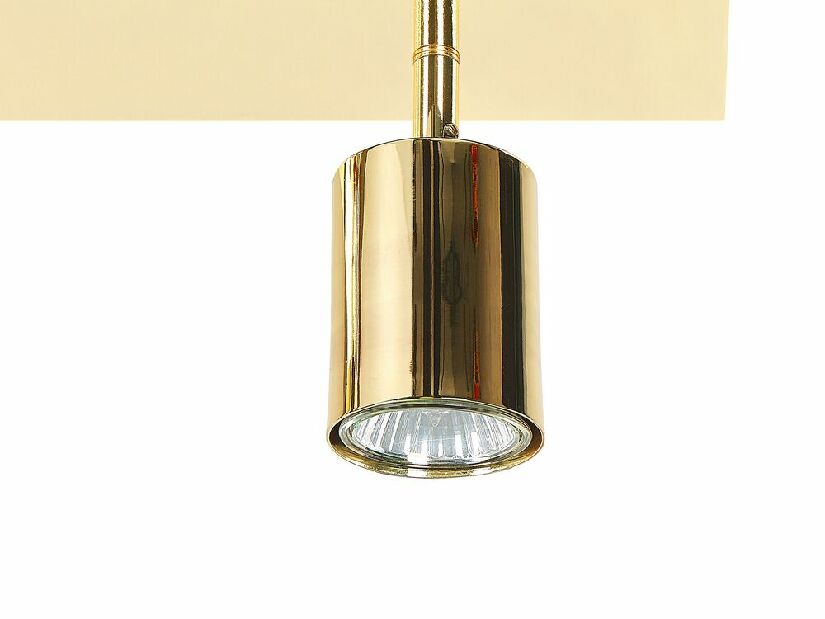 Stropna svjetiljka Takashi (zlatna) 
