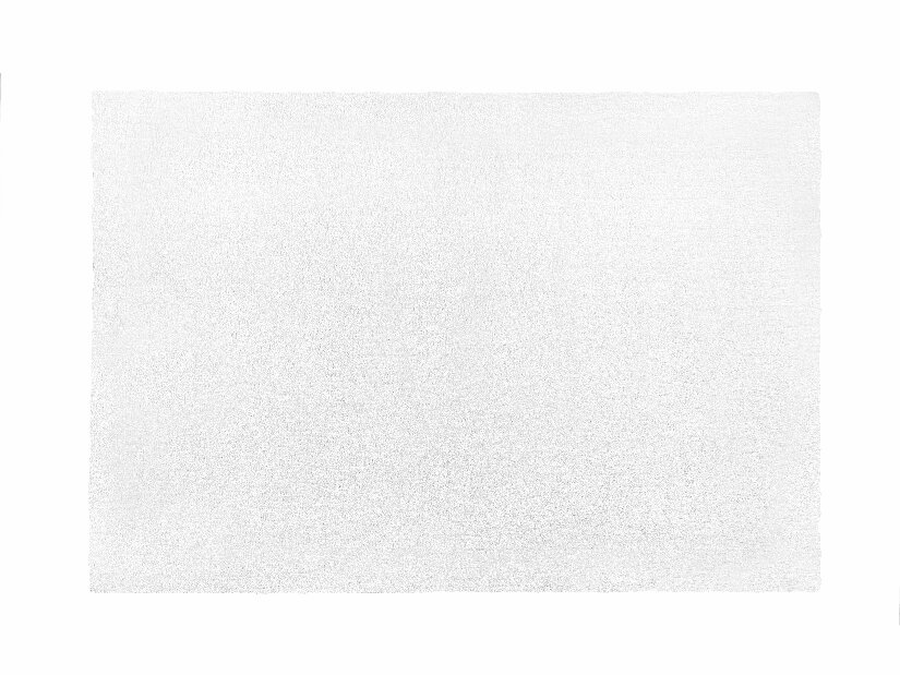 Tepih 200x140 cm Damte (bijela)