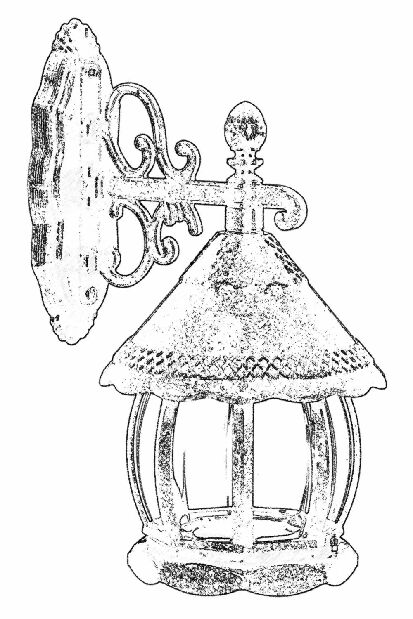 Vanjska zidna svjetiljka Danyaal (smeđa)