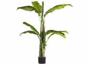 Umjetna biljka 154 cm BANNA