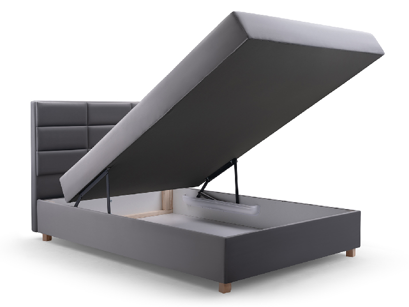 Jednostruki krevet 120 cm Picasso II (siva) (s prostorom za odlaganje i madracem) 
